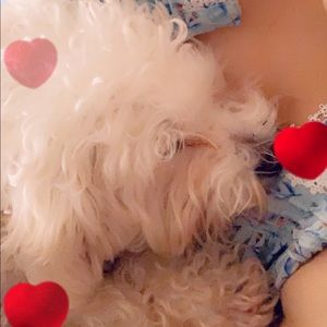 Meet your Posher, Barbara